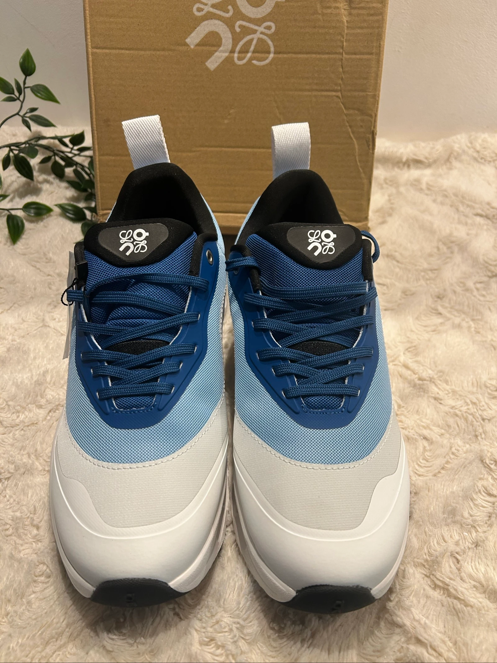 Chaussure ON 
